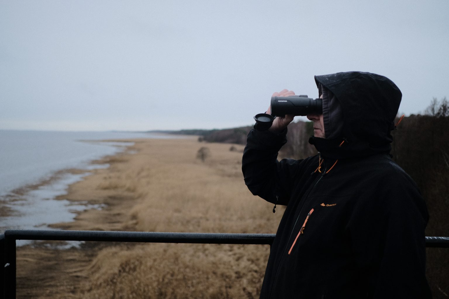 Olympusy 8×42 i 10×42 PRO w praktycznym teście terenowym Olympus 8x42 PRO